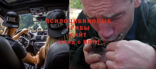стаф Аркадак
