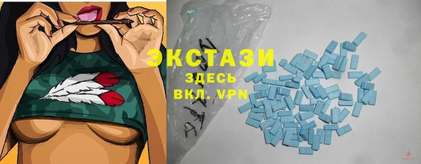 стаф Аркадак