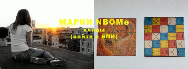 стаф Аркадак