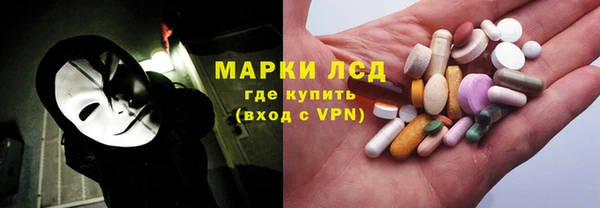 стаф Аркадак