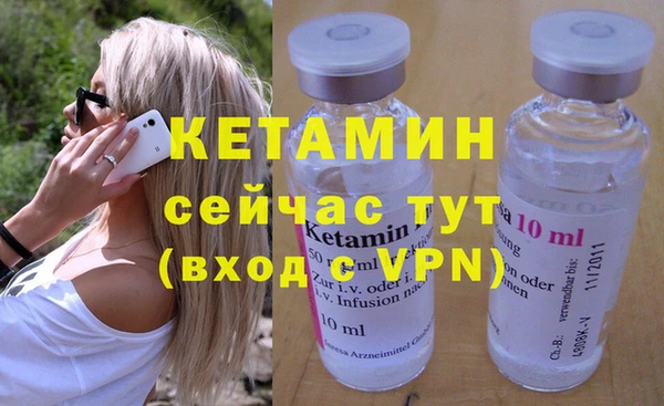 стаф Аркадак