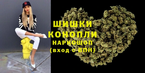 спайс Арсеньев