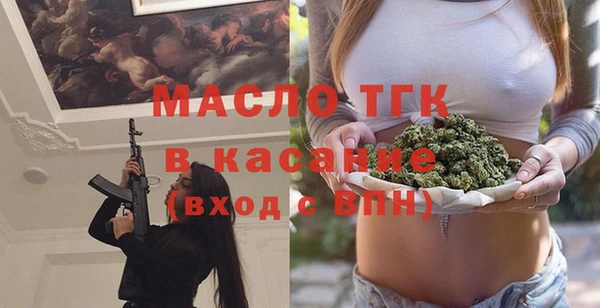 стаф Аркадак