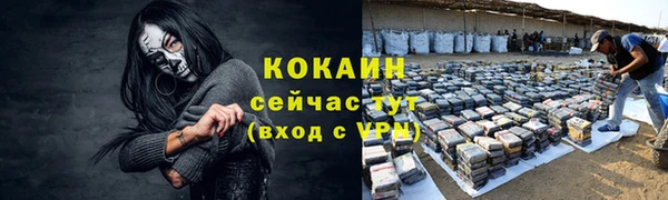 спайс Арсеньев