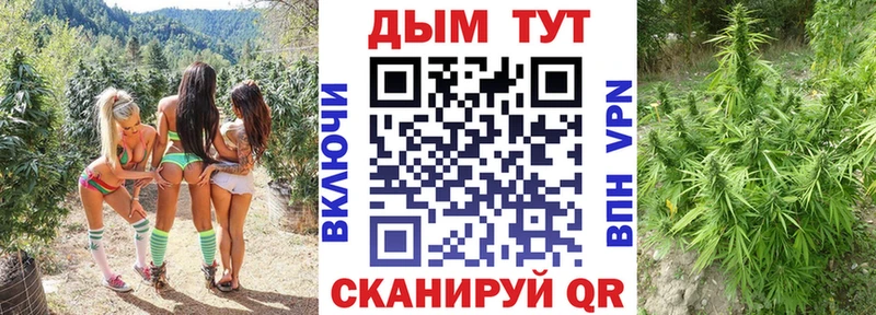 Марихуана гибрид  где купить наркоту  Барабинск 